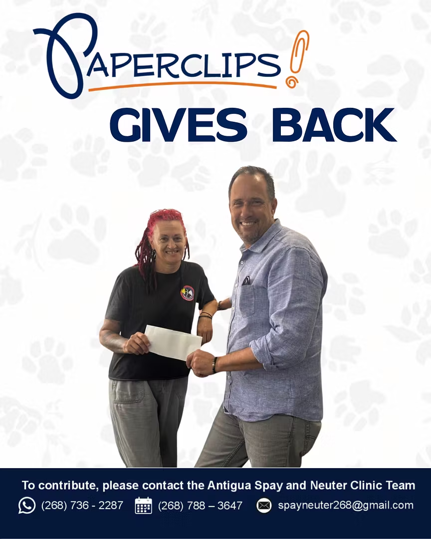 Paperclips Ltd. Funds 100 Free Animal Sterilisations Through Monthly Clinic Partnership