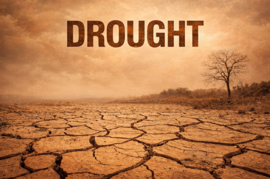 AccuWeather Warns Strong El Niño Could Trigger Multi-Year Drought and 'Mini-Dust Bowl'