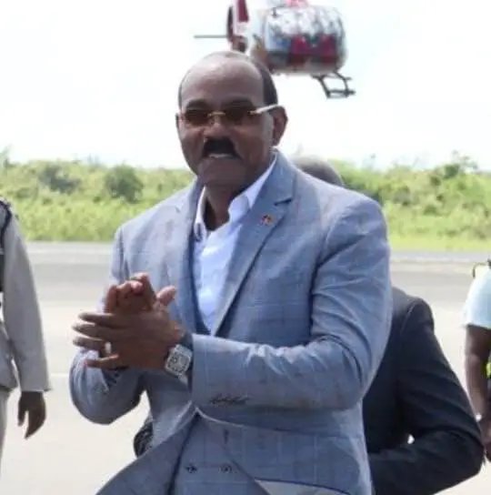 U.S. Appeals Court Upholds Ruling Against Guryeva in Alfa Nero Case