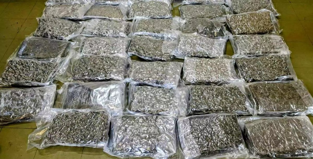 34 Pounds of Cannabis Worth EC$204,000 Seized at VC Bird Airport