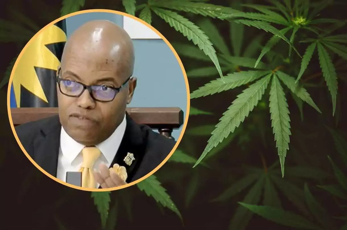 Cabinet Endorses Cannabis Festival 2026 as Strategic National Initiative