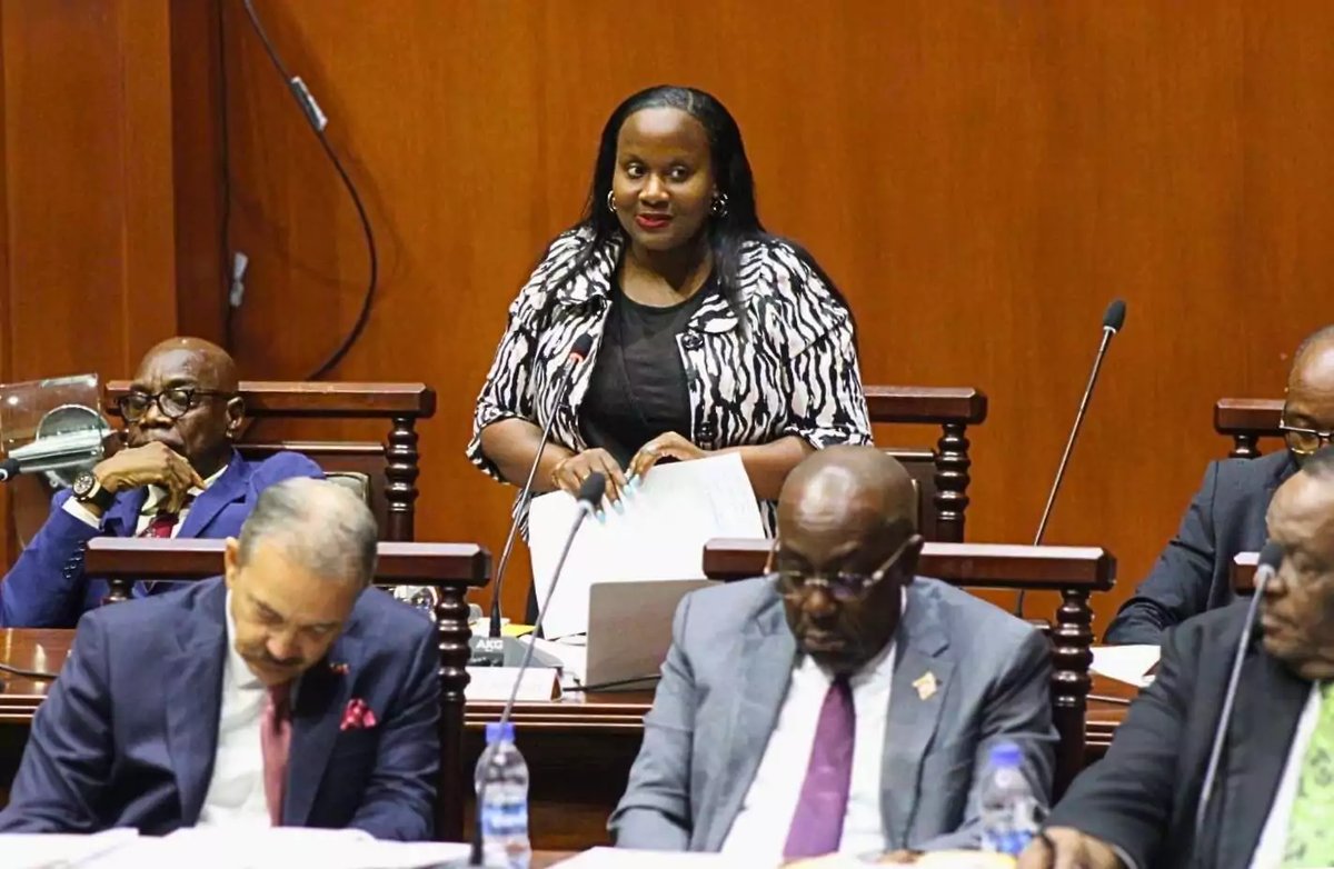Minister Johnson: Deportee Resolution Safeguards Sovereignty Without Straining US Ties