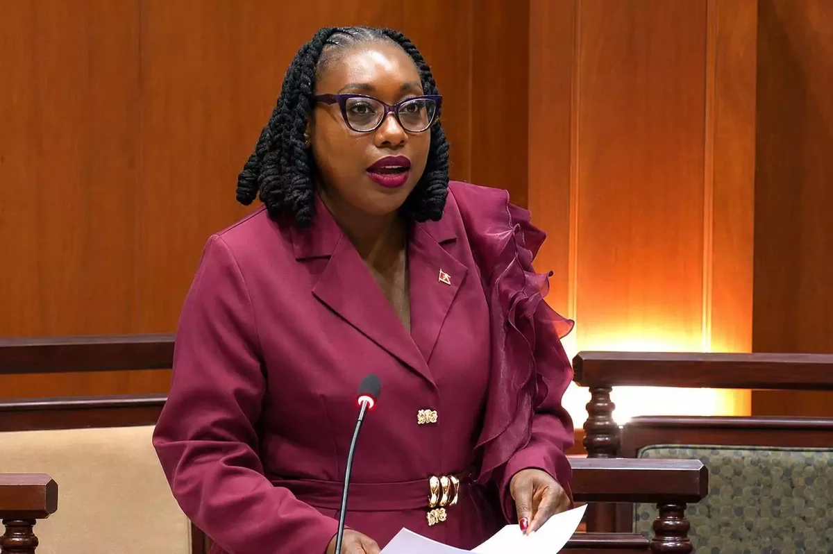 Senate Passes Electronic Crimes Amendment Bill as O'Donoghue Makes Maiden Speech