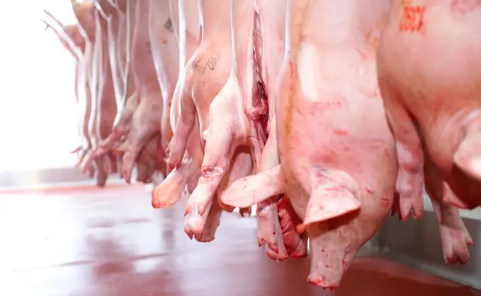 Antigua Plans Two New Abattoirs to Slash $175M Annual Meat Import Bill