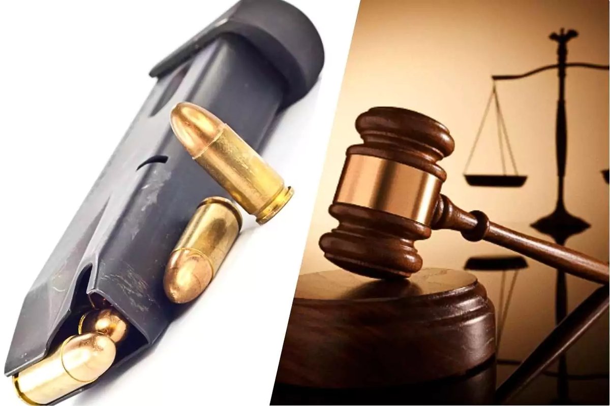 Man Sentenced to Seven Months After Firearm Magazine Found Hidden in Speaker