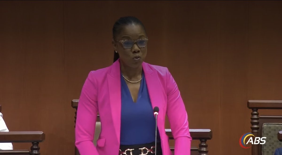 Opposition Senator Calls for Inflation-Linked Bereavement Awards in Fatal Accidents Bill