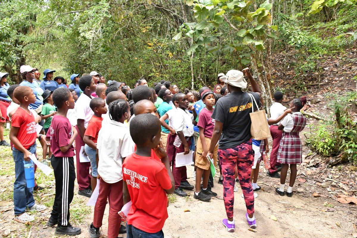 Wallings Forest Reserve in Freefall as Bureaucratic Neglect Takes Its Toll