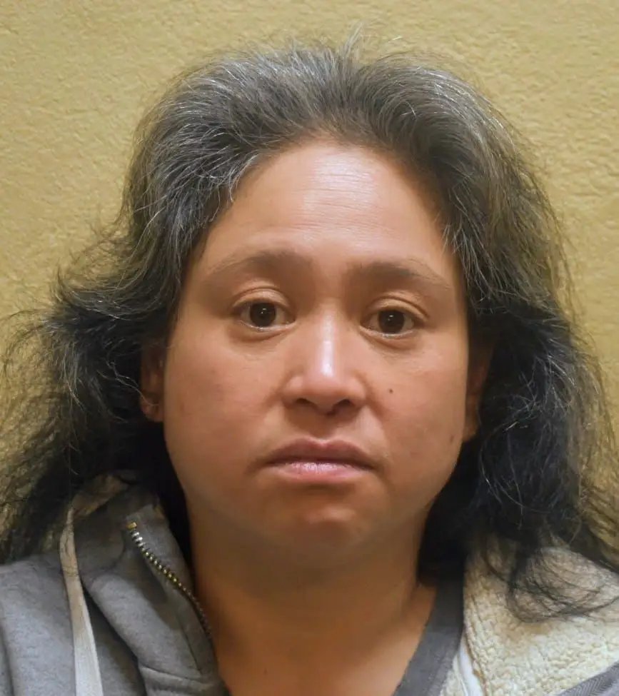 Canadian Woman Remanded on Drug Trafficking Charges After 67lb Cannabis Find at Airport