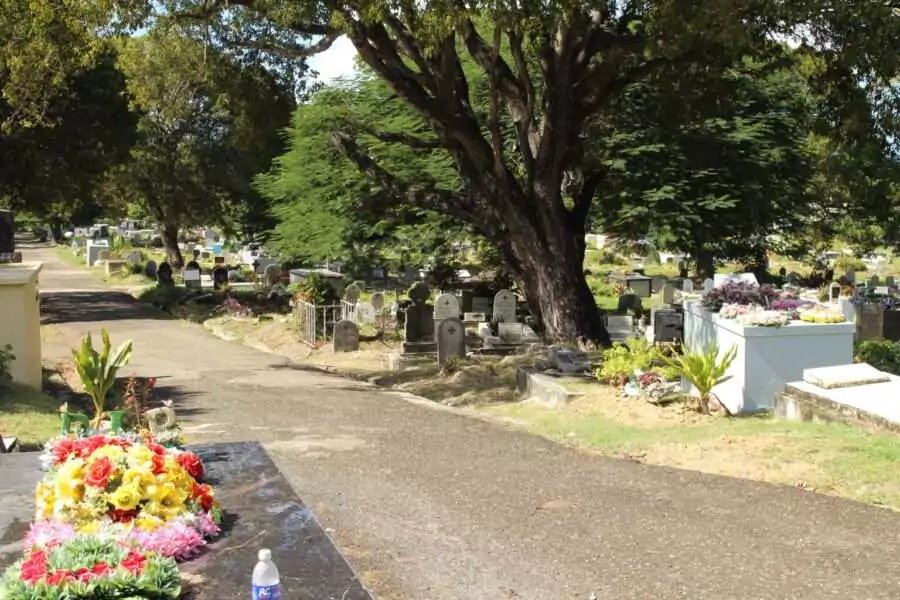 Cabinet Orders Closure of St. John's Public Cemetery to New Burials by March 2026