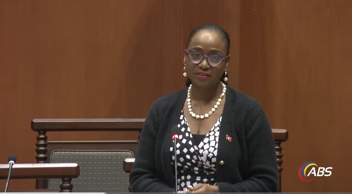 Senator Calls for Psychological Support Alongside Financial Aid in Fatal Accidents Bill