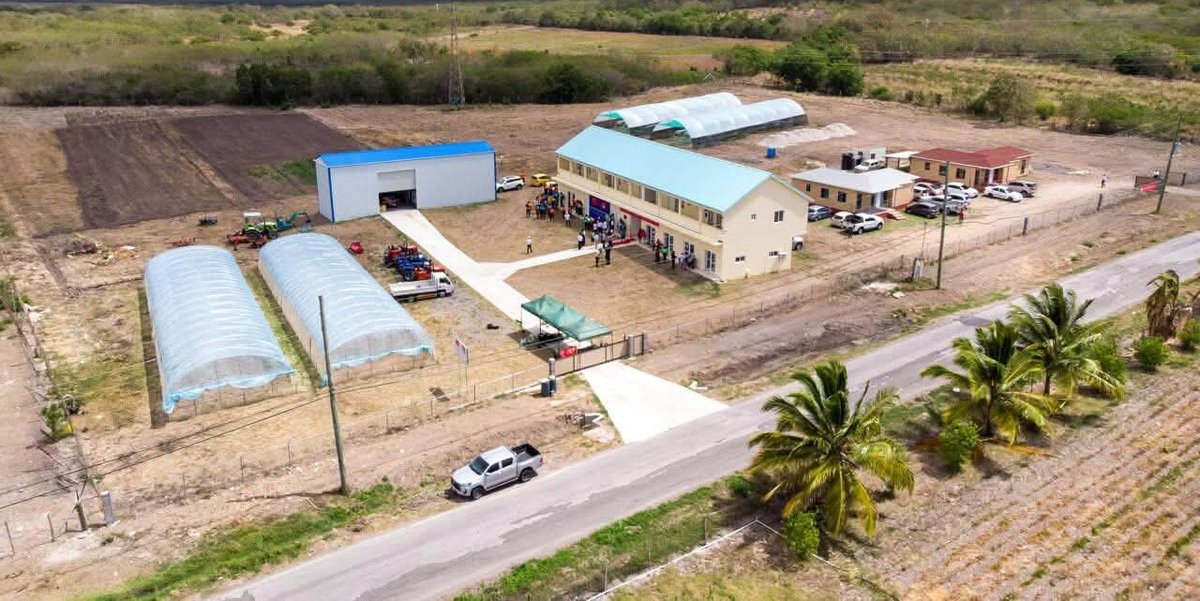 Antigua Opens First Tissue Culture Lab, Boosting Food Security and Local Agriculture