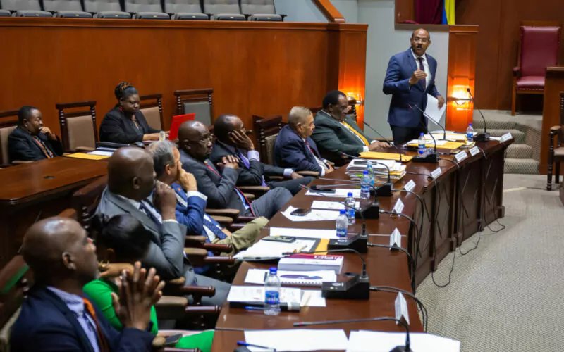 Shock Move in the House: Browne Announces Imminent Prorogation of Parliament 